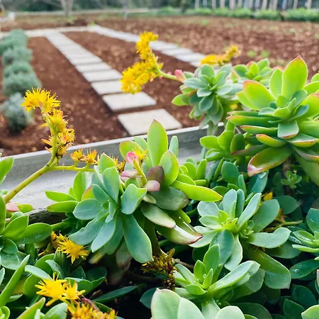 Il Giardino *