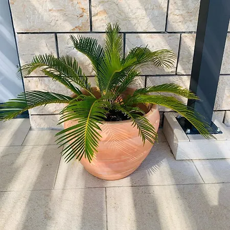 Il Giardino Apartment