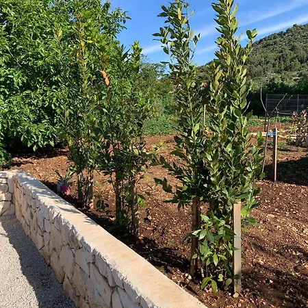Il Giardino Apartment Rogoznica (Sibenik-Knin)